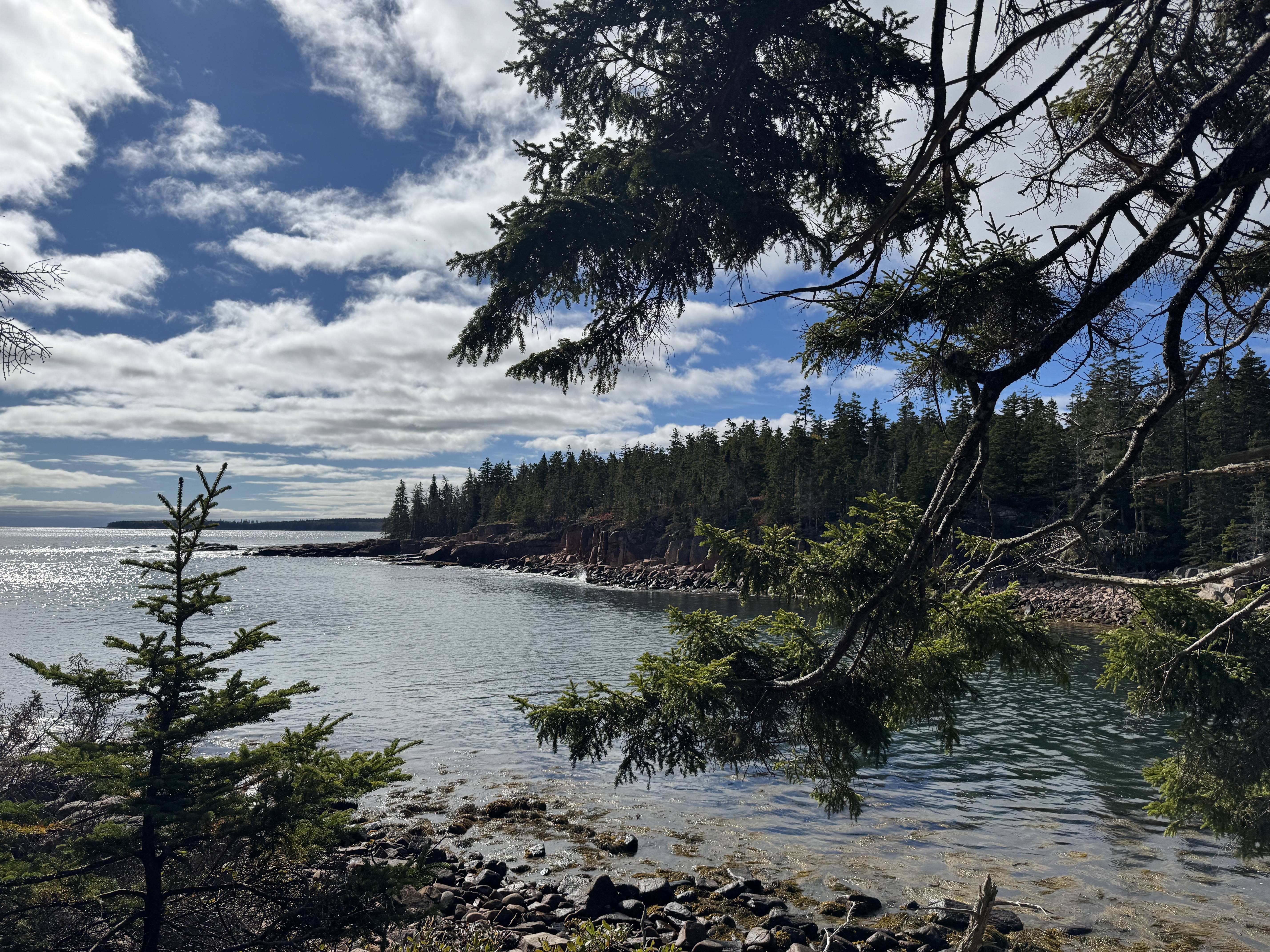 Cove with spruce trees and rocky shoreline