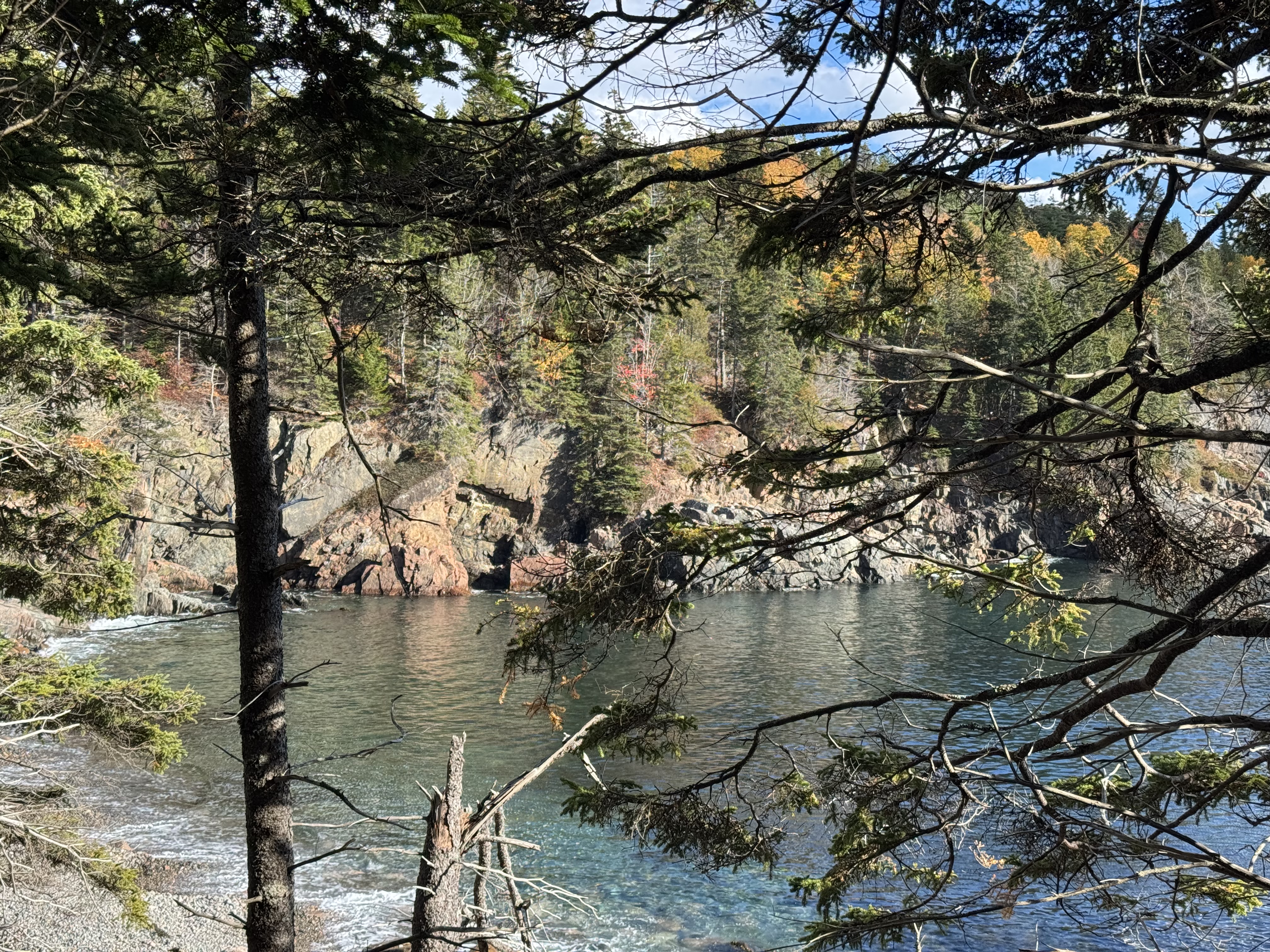 Rocky cove through autumn tree branches
